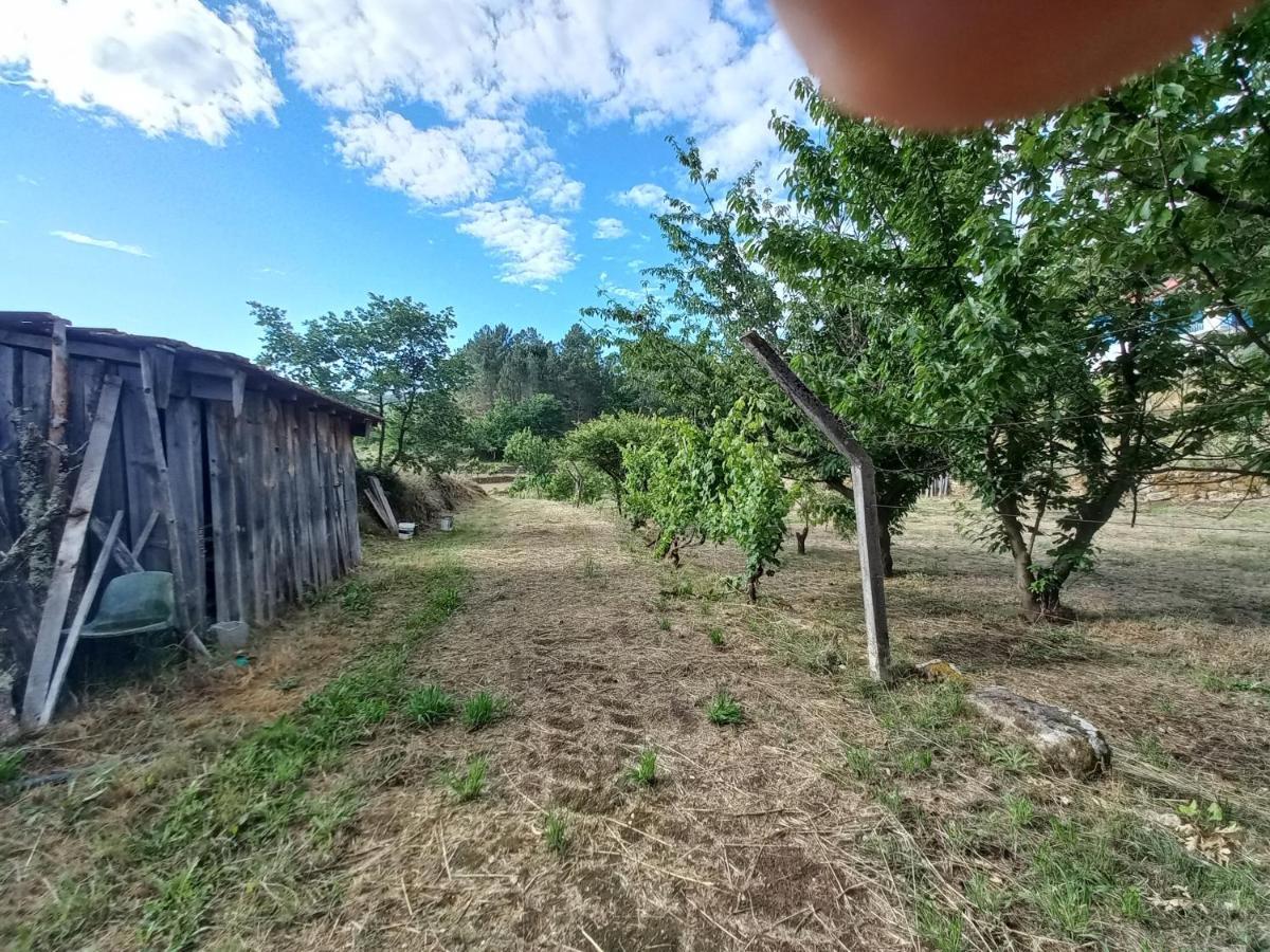 Quinta Da Peca Douro Vinhateiro فيلا ريال المظهر الخارجي الصورة