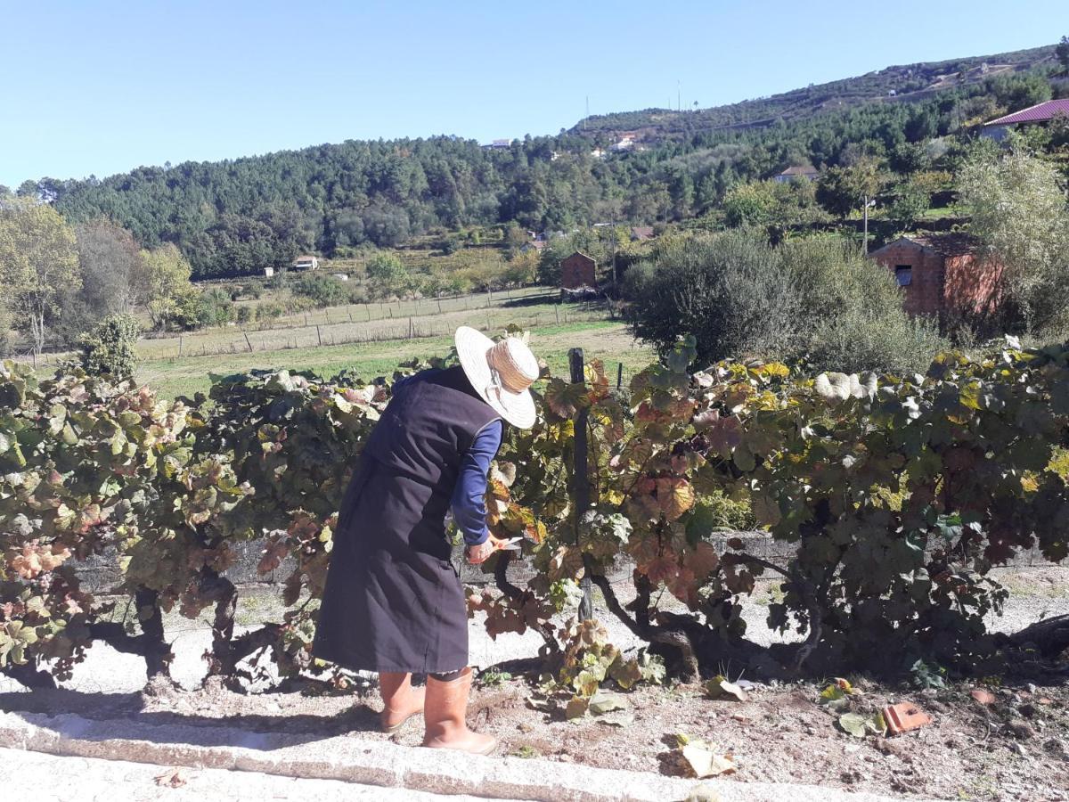 Quinta Da Peca Douro Vinhateiro فيلا ريال المظهر الخارجي الصورة