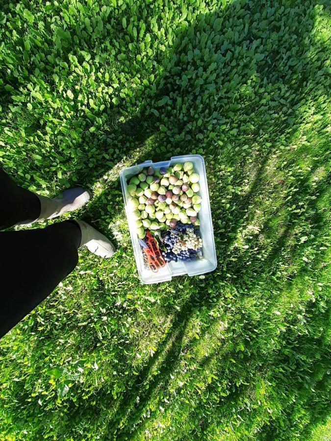 Quinta Da Peca Douro Vinhateiro فيلا ريال المظهر الخارجي الصورة