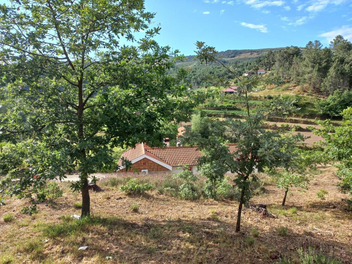 Quinta Da Peca Douro Vinhateiro فيلا ريال المظهر الخارجي الصورة