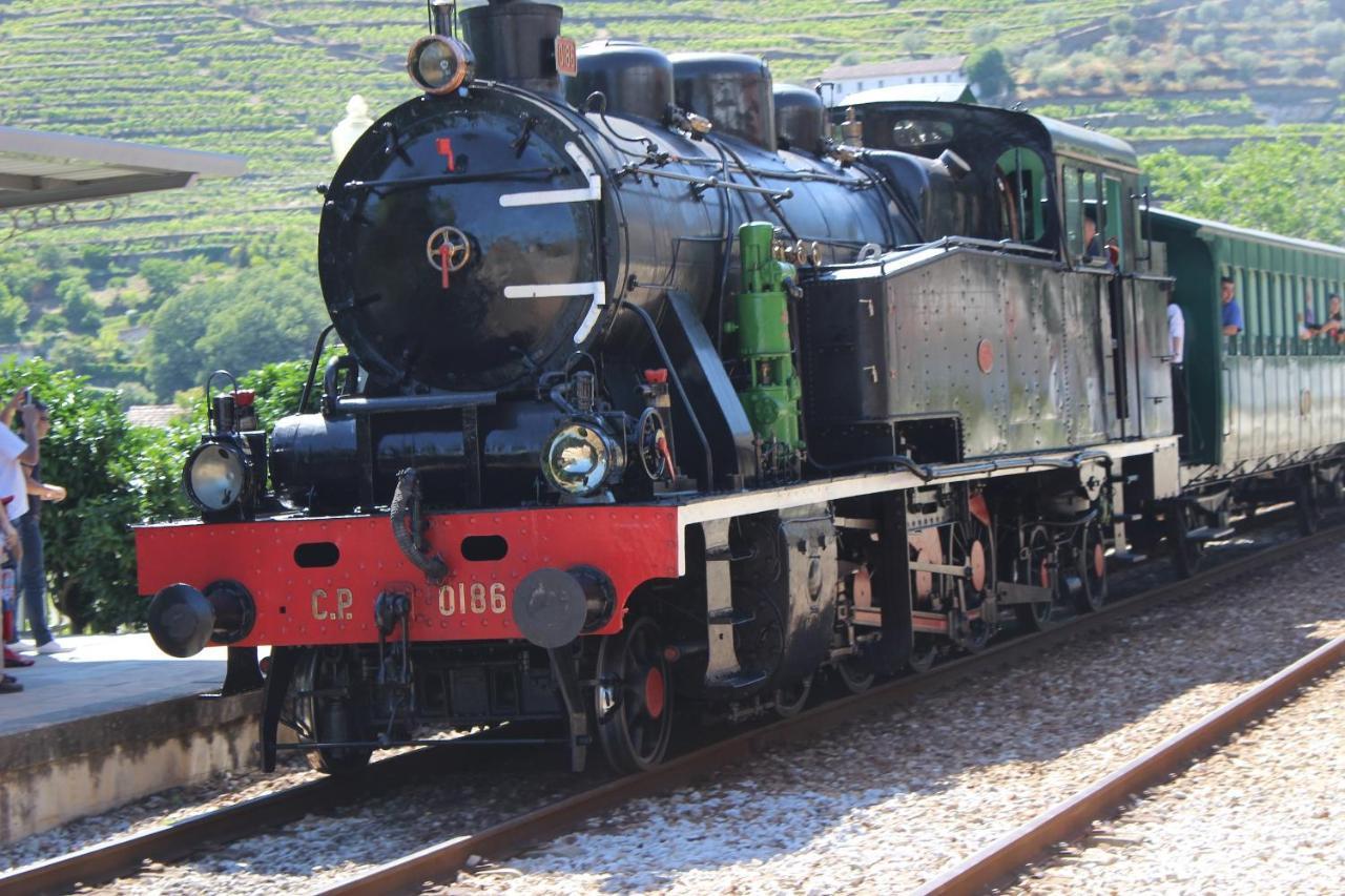 Quinta Da Peca Douro Vinhateiro فيلا ريال المظهر الخارجي الصورة