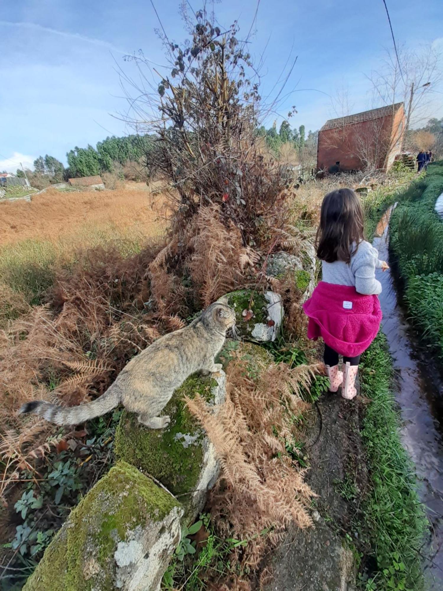 Quinta Da Peca Douro Vinhateiro فيلا ريال المظهر الخارجي الصورة