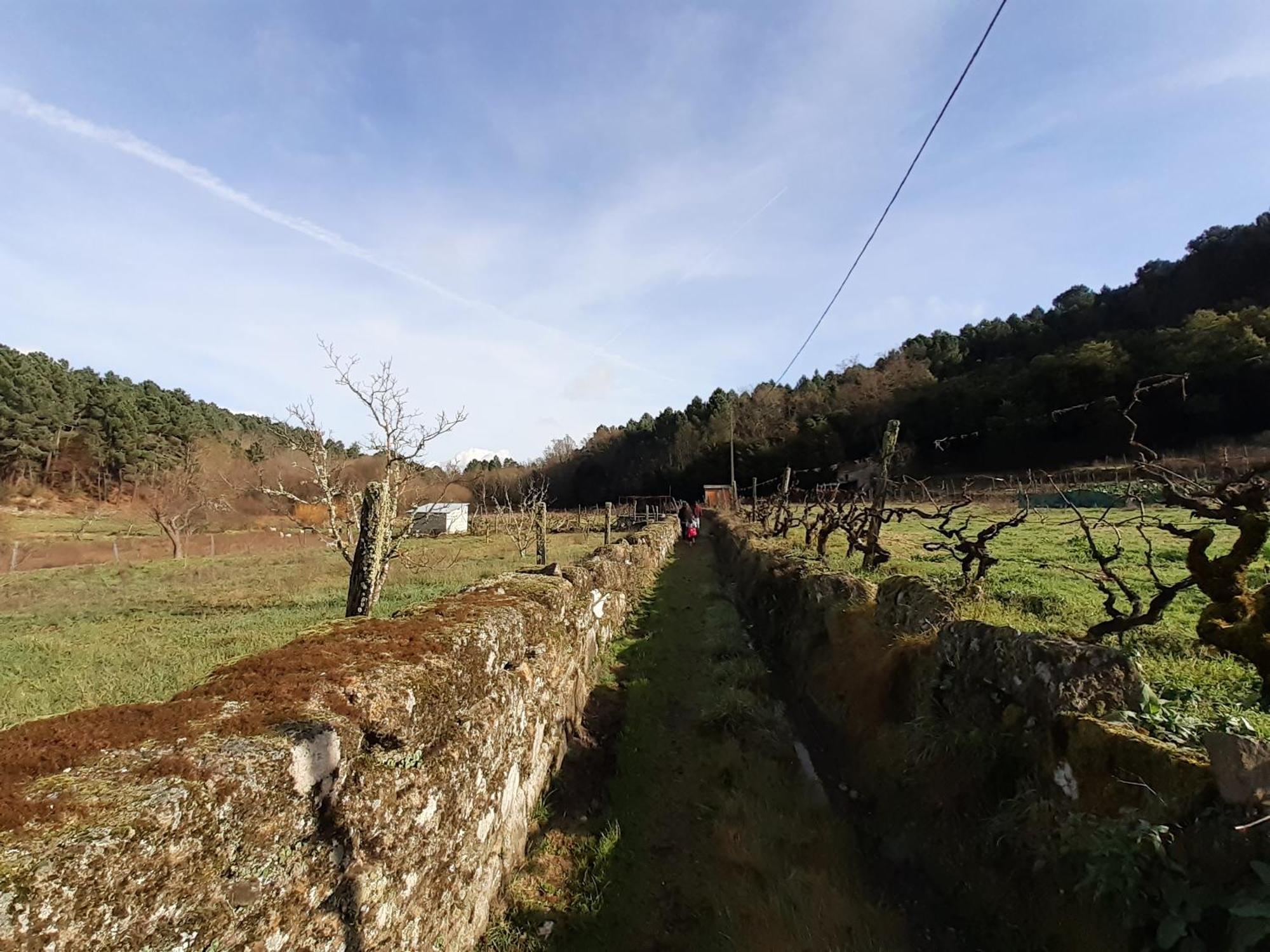 Quinta Da Peca Douro Vinhateiro فيلا ريال المظهر الخارجي الصورة